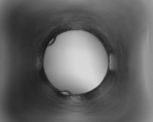 X0000089831491200707121631