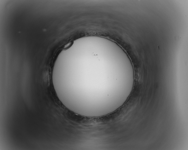 X0000089831493200707121631