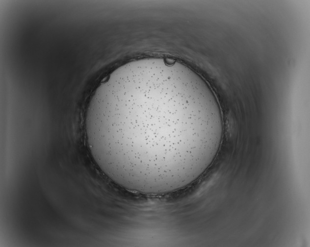 X0000089831494200707121631