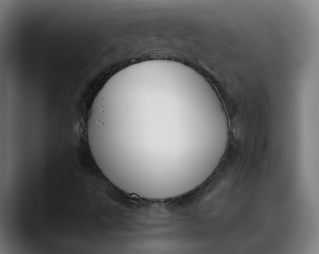 X0000089831495200707121631