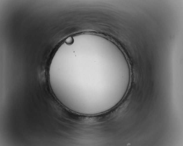 X0000089831497200707121631