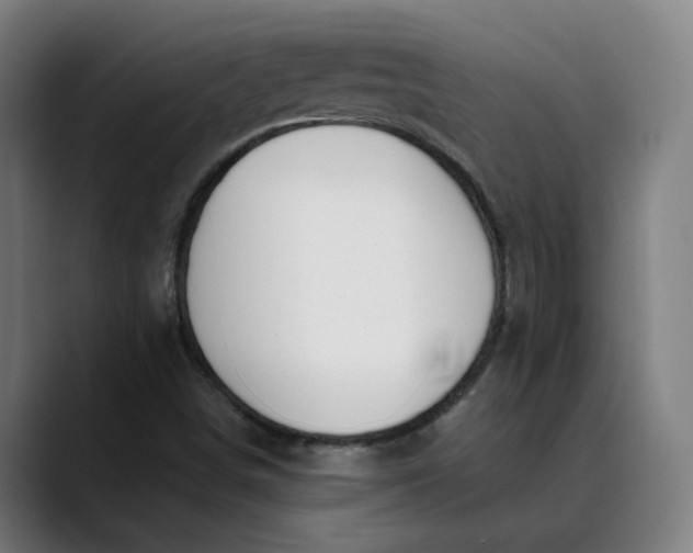 X0000089831498200707121631