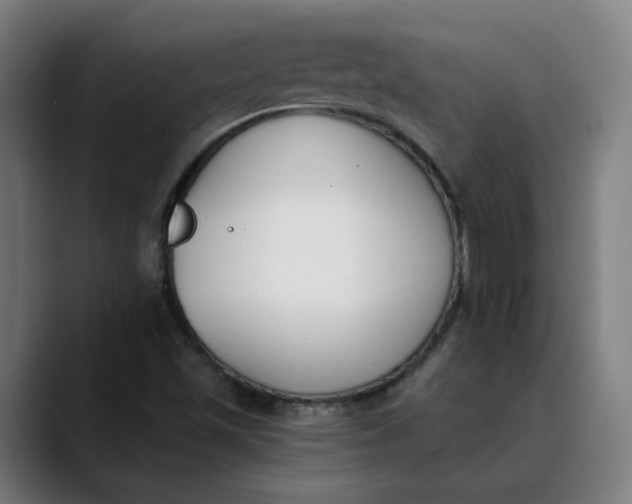 X0000089831501200707121631