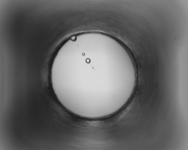 X0000089831502200707121631