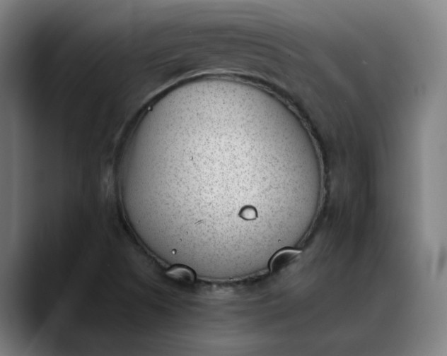 X0000089831505200707121631