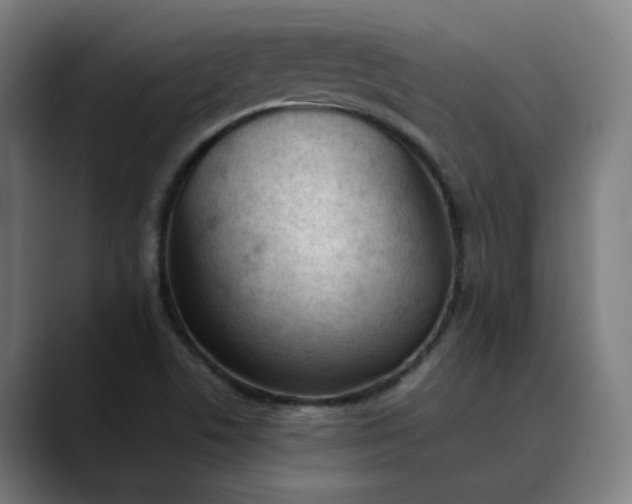 X0000089831506200707121631