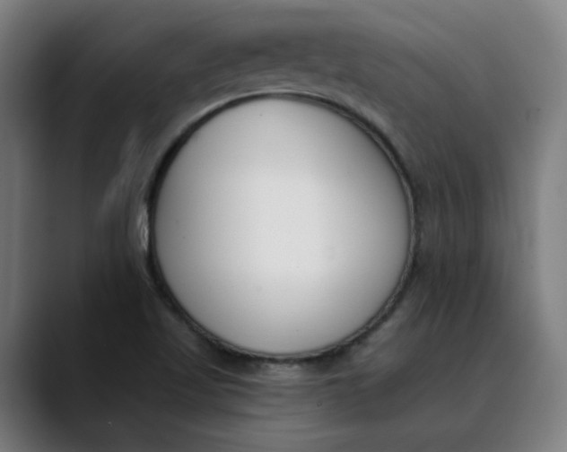 X0000089831509200707121631