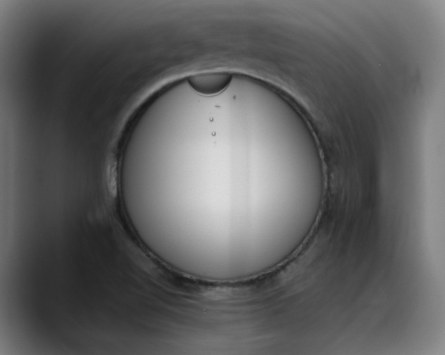 X0000089831510200707121631