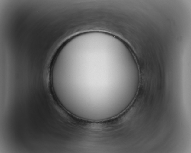 X0000089831511200707121631