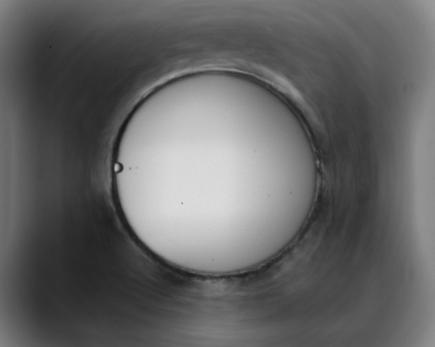 X0000089831512200707121631