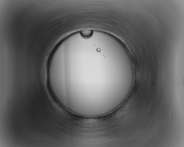 X0000089831515200707121631