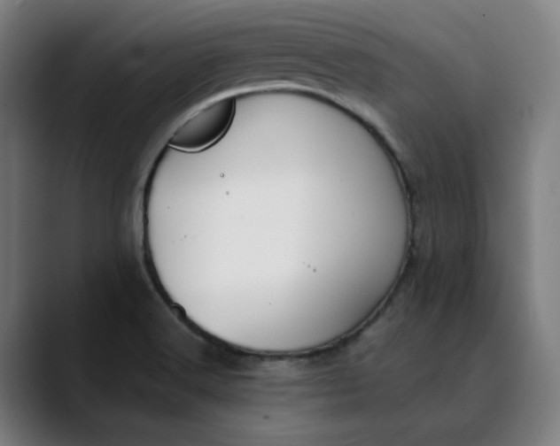 X0000089831516200707121631