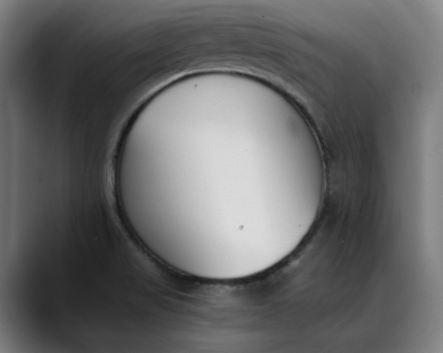 X0000089831517200707121631