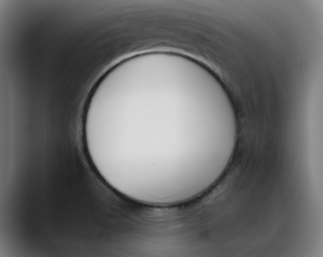 X0000089831518200707121631