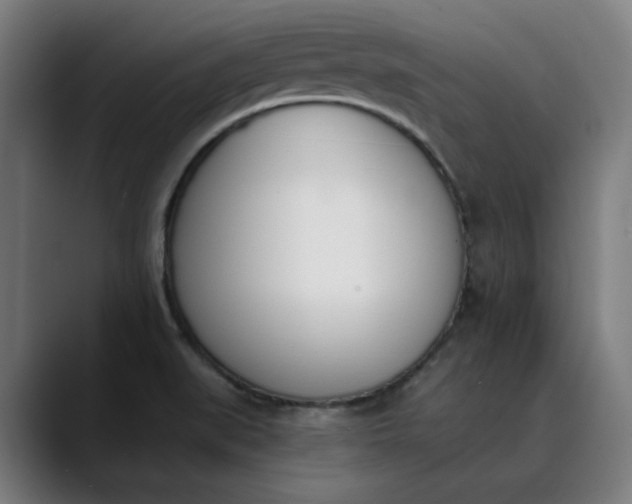 X0000089831519200707121631