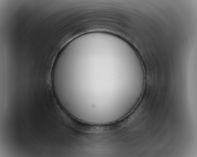 X0000089831521200707121631