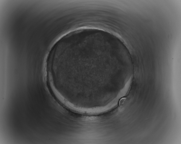 X0000089831522200707121631