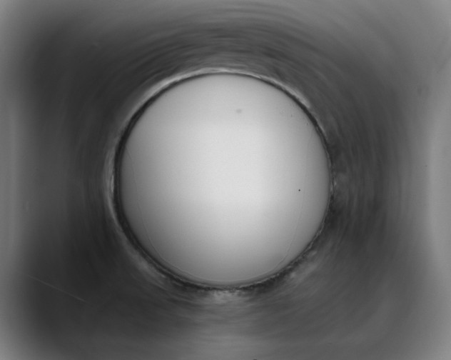 X0000089831523200707121631