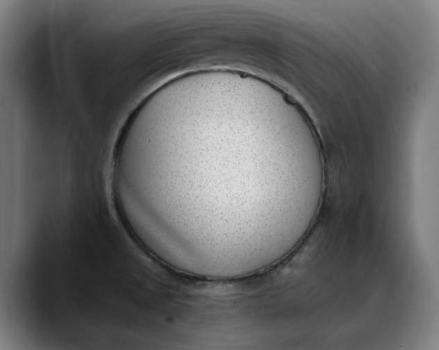 X0000089831525200707121631