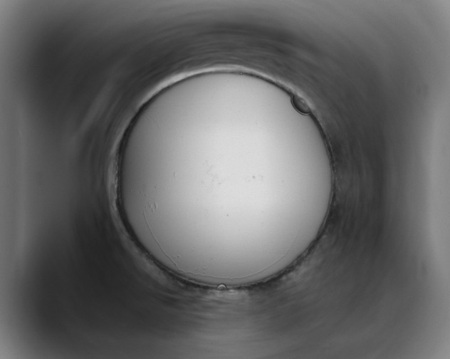 X0000089831526200707121631