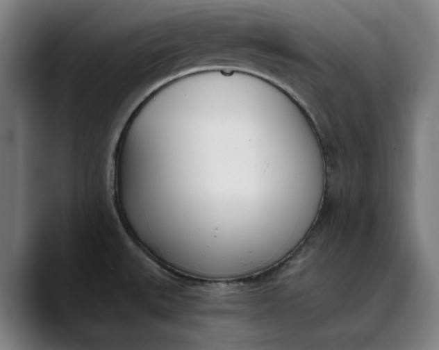 X0000089831527200707121631