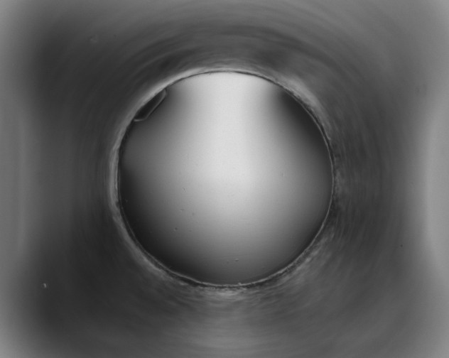 X0000089831528200707121631