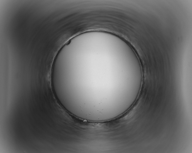 X0000089831529200707121631