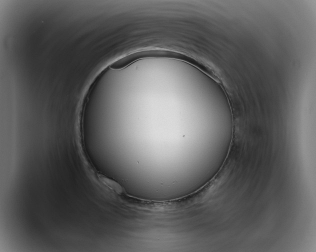 X0000089831530200707121631