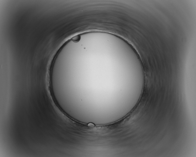 X0000089831531200707121631