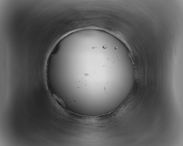 X0000089831532200707121631