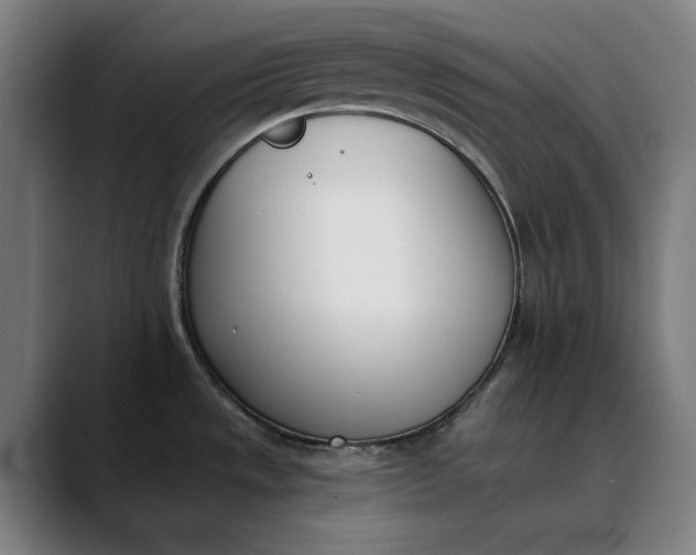 X0000089831533200707121631