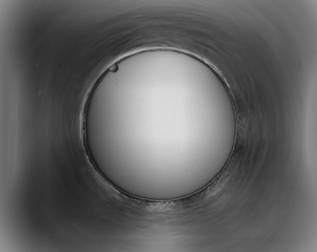 X0000089831535200707121631