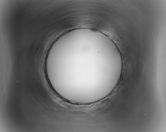 X0000089830001200707191834