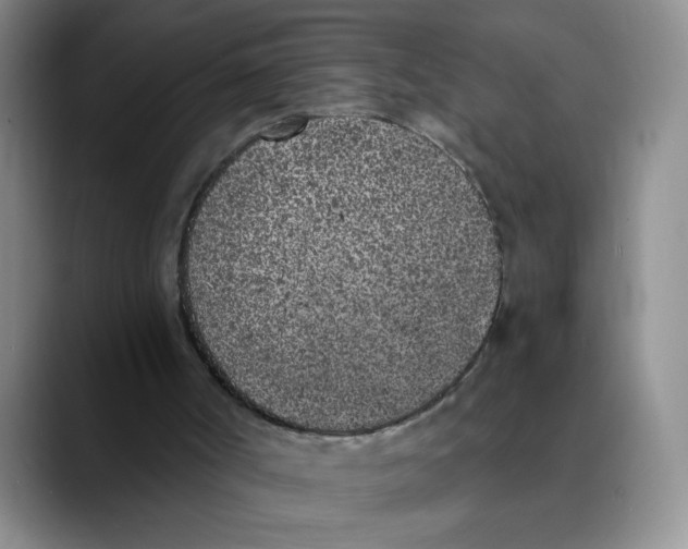 X0000089830002200707191834