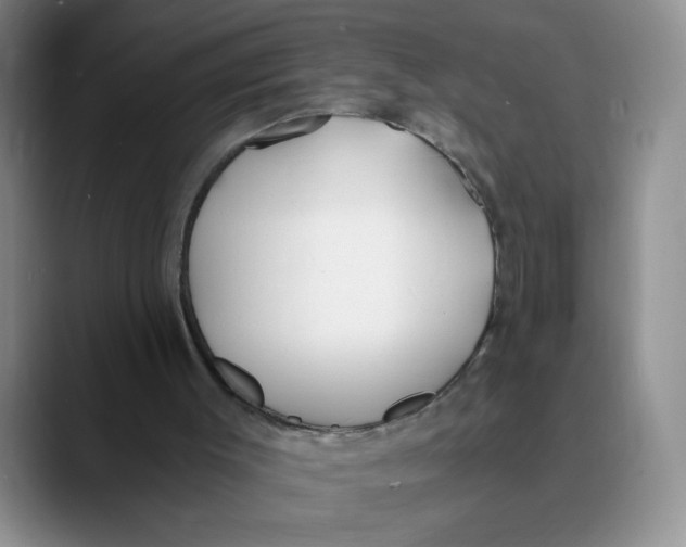 X0000089830003200707191834