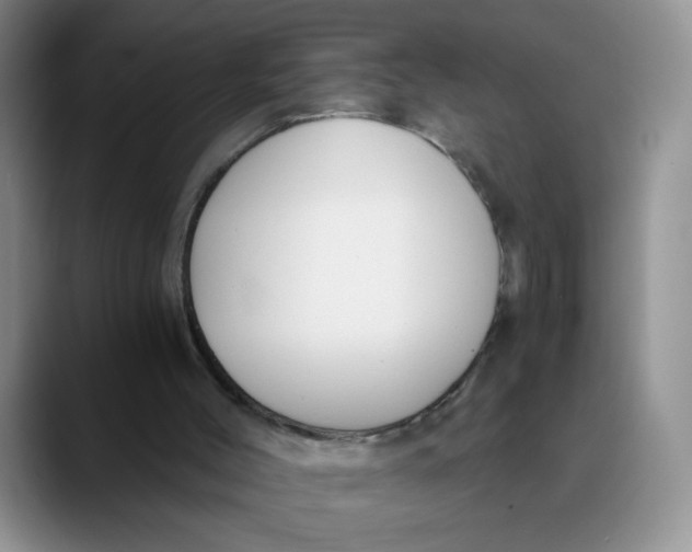 X0000089830004200707191834