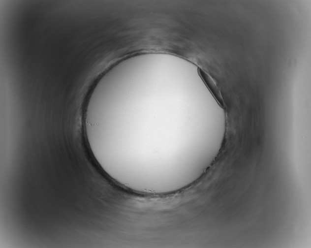 X0000089830005200707191834