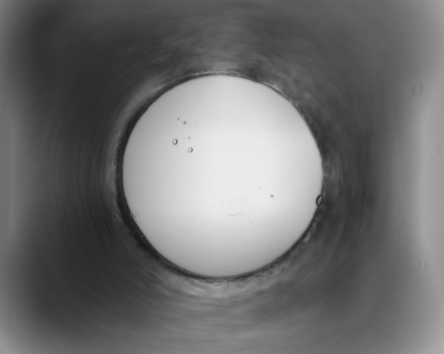 X0000089830006200707191834