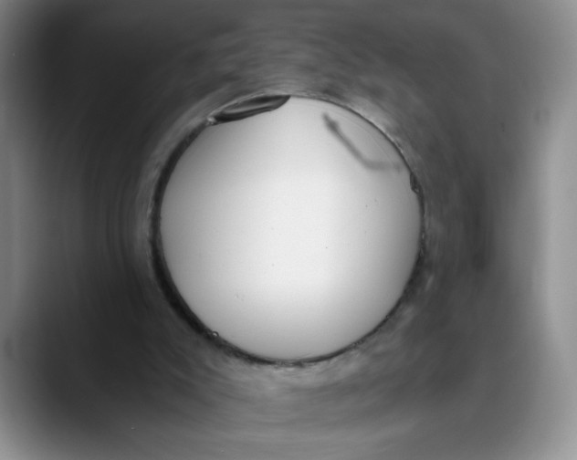 X0000089830007200707191834