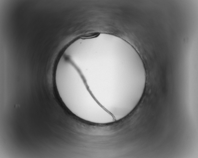 X0000089830008200707191834