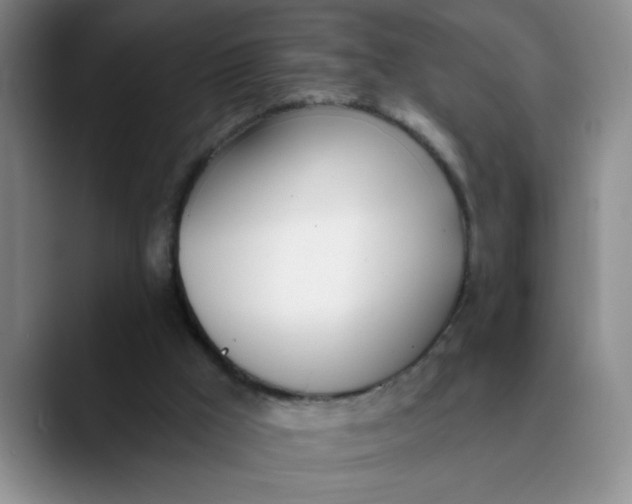 X0000089830009200707191834