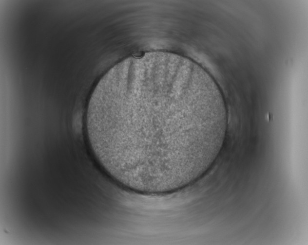 X0000089830010200707191834