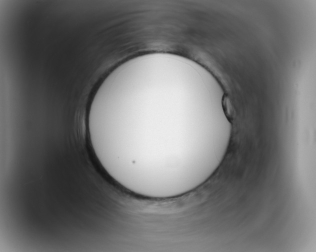 X0000089830011200707191834