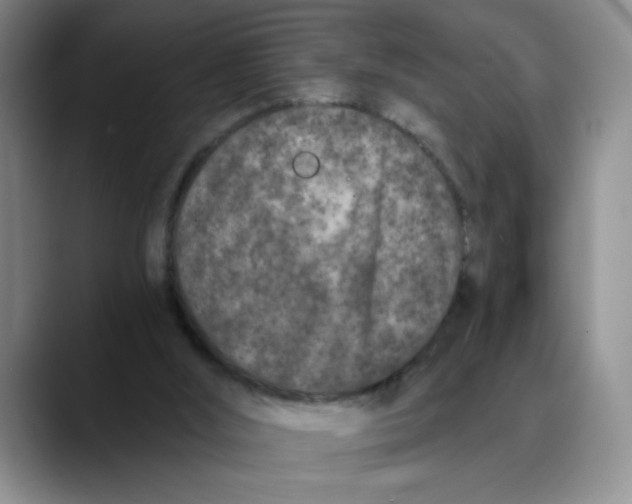 X0000089830012200707191834