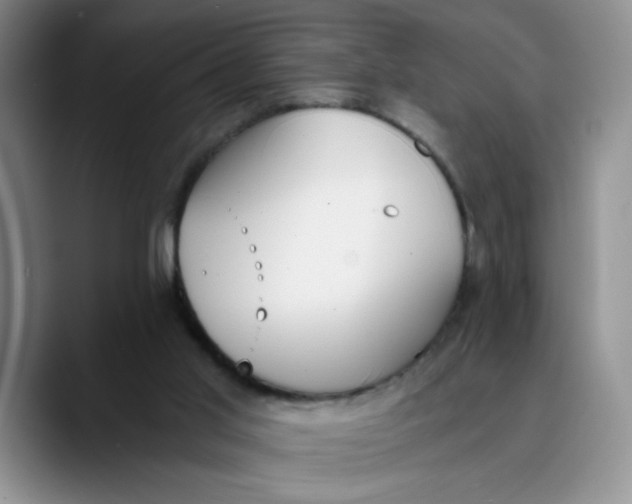 X0000089830013200707191834