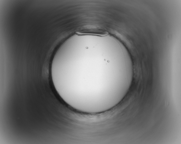 X0000089830015200707191834