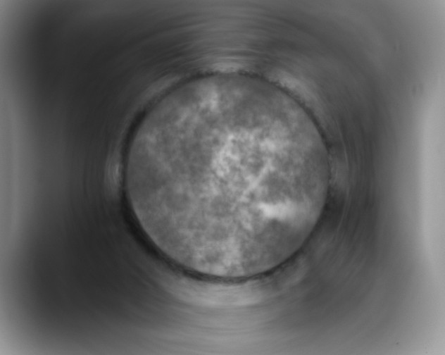 X0000089830016200707191834