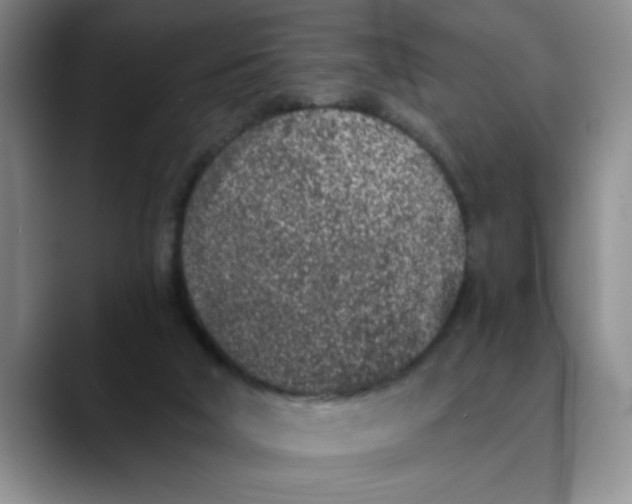 X0000089830018200707191834