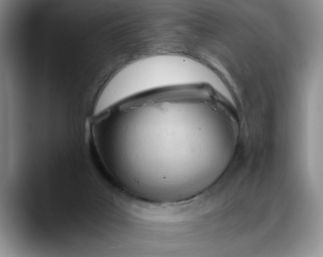 X0000089830019200707191834