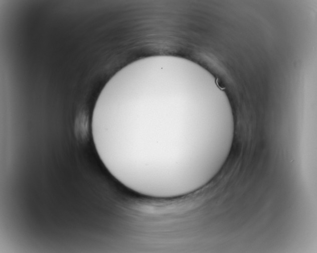 X0000089830021200707191834